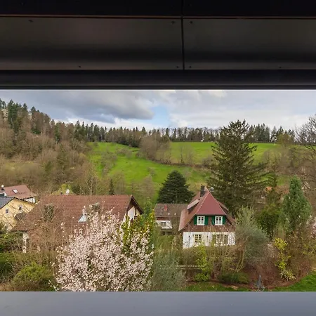 Chalet Gesamtes King Size Kueche Tv Regendusche Loggia *